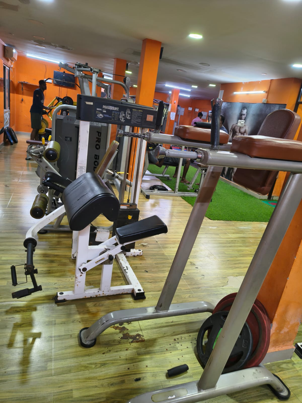 Biceps curl station and knee-raise/dip tower with weight plates at the Porur gym